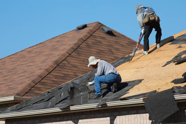 Best Roof Insulation Installation  in Freeland, WA